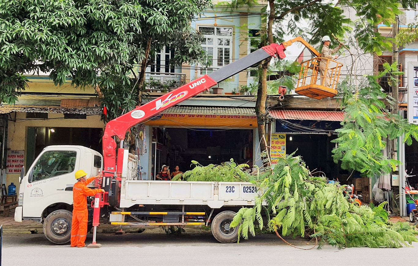 CẨU VẬN TẢI HÀ NỘI