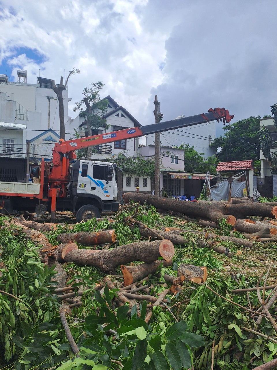 CẨU VẬN TẢI HÀ NỘI