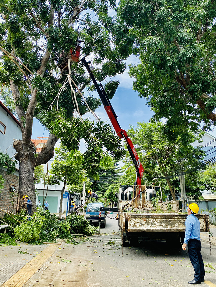 CẨU VẬN TẢI HÀ NỘI