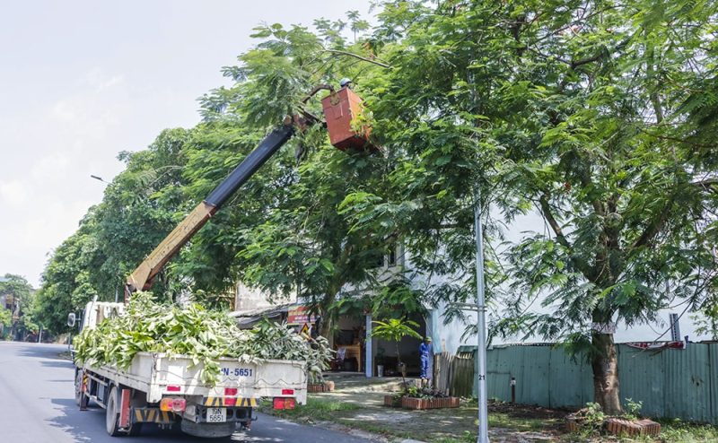 CẨU VẬN TẢI HÀ NỘI
